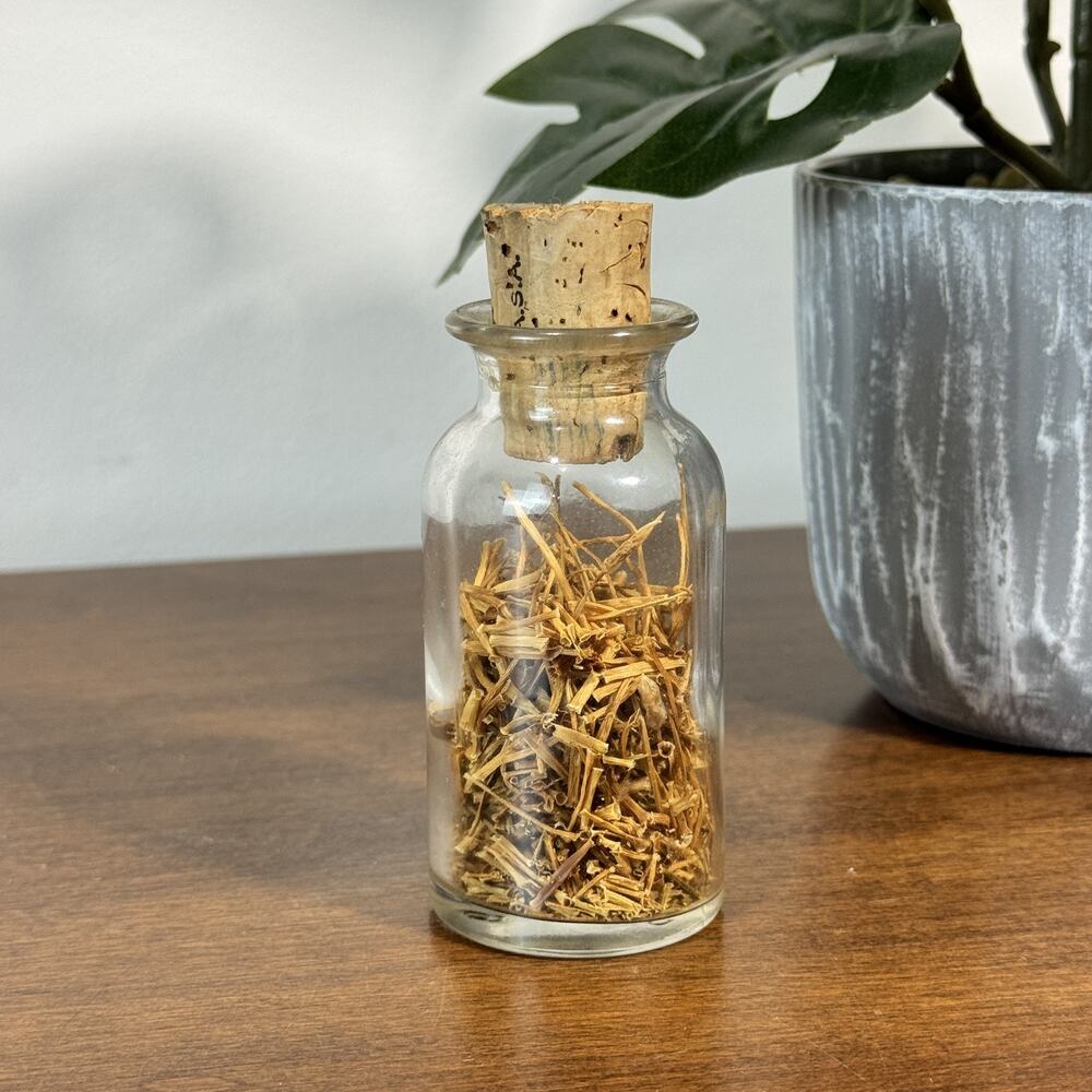 Antique Apothecary Glass Bottle Original Cork Dried Botanical Herb Specimen Jar